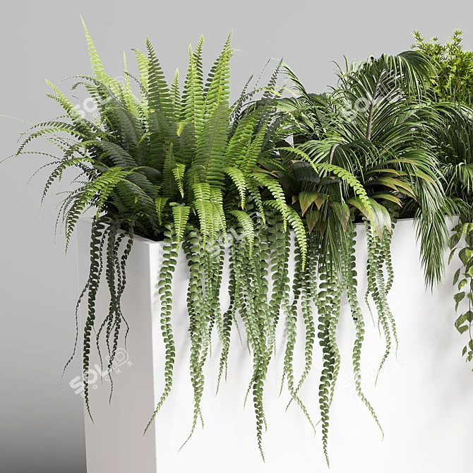 Indoor Plant Collection: 72 Pot Grass Fern Bush Palm Concrete Vase 3D model image 3