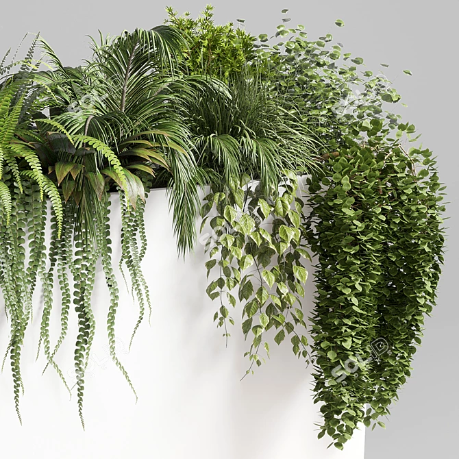 Indoor Plant Collection: 72 Pot Grass Fern Bush Palm Concrete Vase 3D model image 4