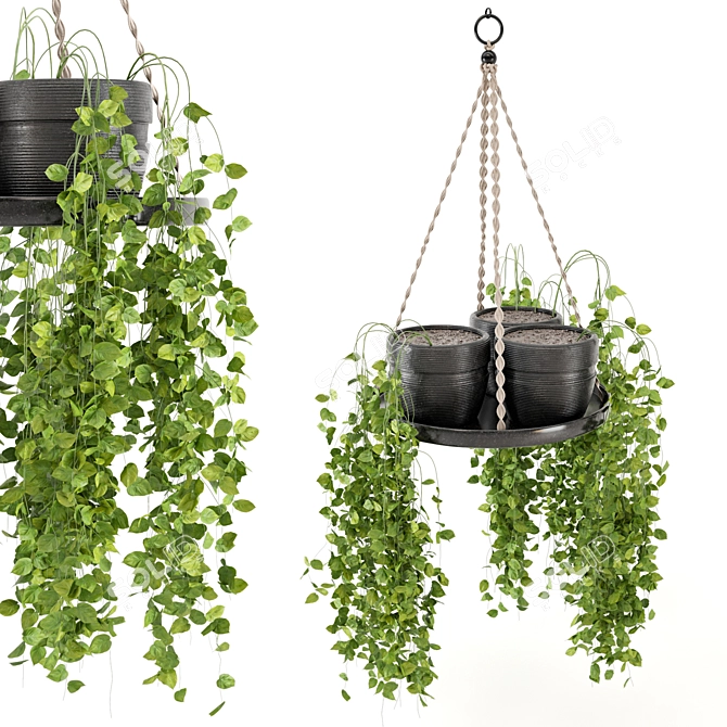  Rusty Concrete Pot Hanging Plants 3D model image 5