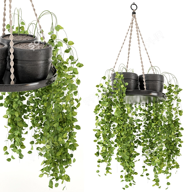  Rusty Concrete Pot Hanging Plants 3D model image 6