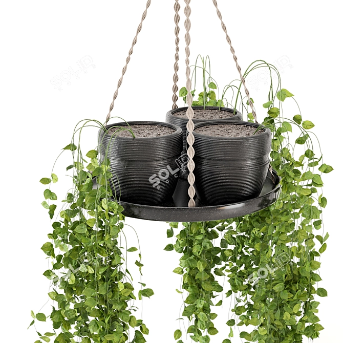  Rusty Concrete Pot Hanging Plants 3D model image 7