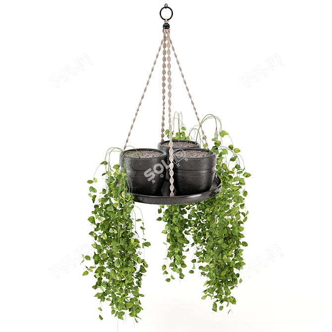  Rusty Concrete Pot Hanging Plants 3D model image 3