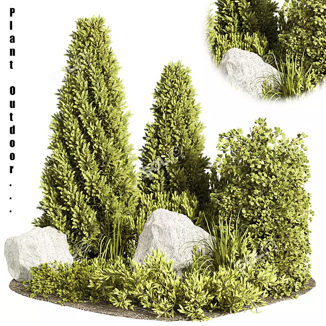 Outdoor Plant Set 06: Stylish & Versatile 3D model image 1