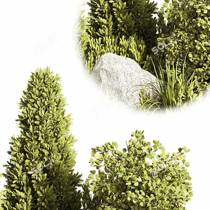 Outdoor Plant Set 06: Stylish & Versatile 3D model image 5