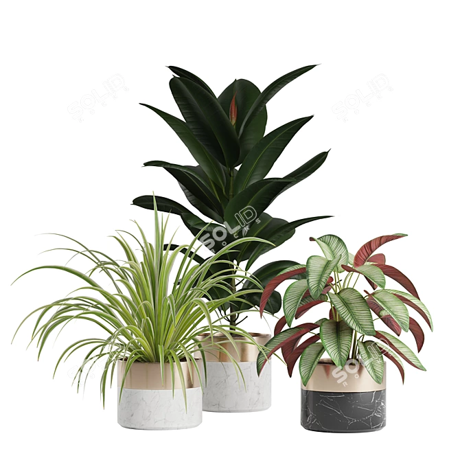 Green Oasis Indoor Plants Pack 3D model image 1