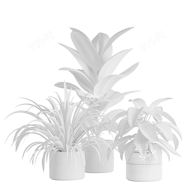 Green Oasis Indoor Plants Pack 3D model image 2