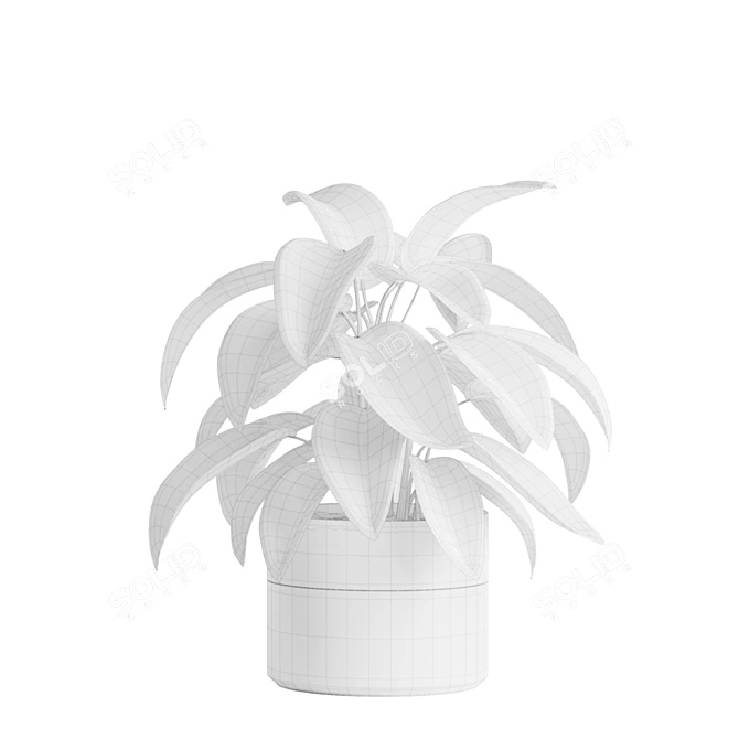 Green Oasis Indoor Plants Pack 3D model image 4