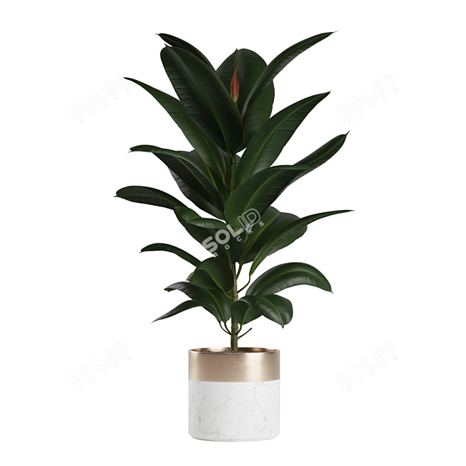 Green Oasis Indoor Plants Pack 3D model image 7
