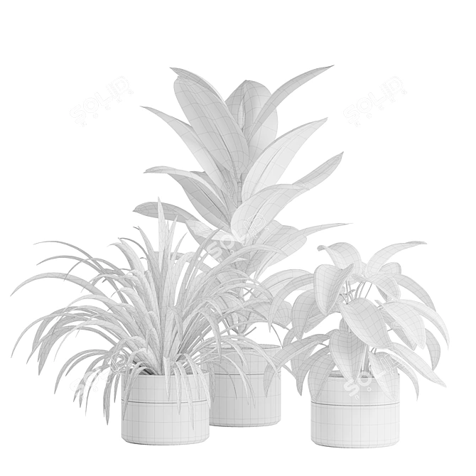 Green Oasis Indoor Plants Pack 3D model image 8