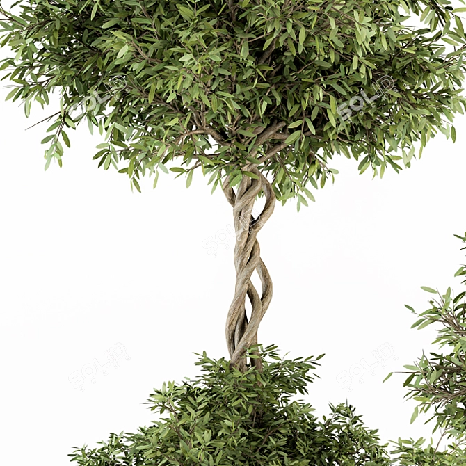 241-Piece Outdoor Plant Set 3D model image 2