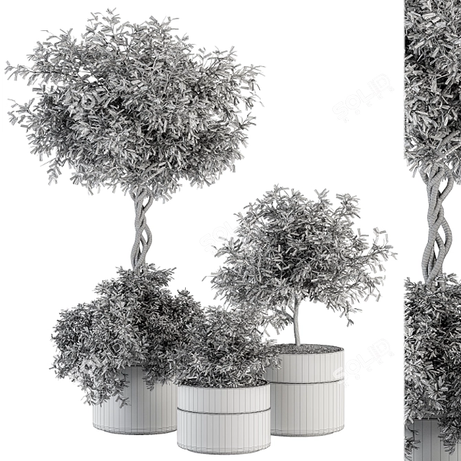 241-Piece Outdoor Plant Set 3D model image 5