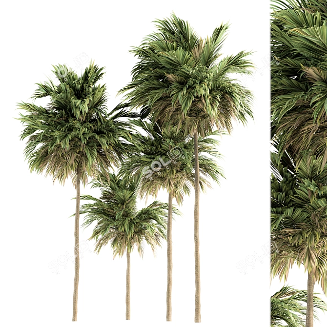 Green Palm Tree Set - Two Sizes 3D model image 3