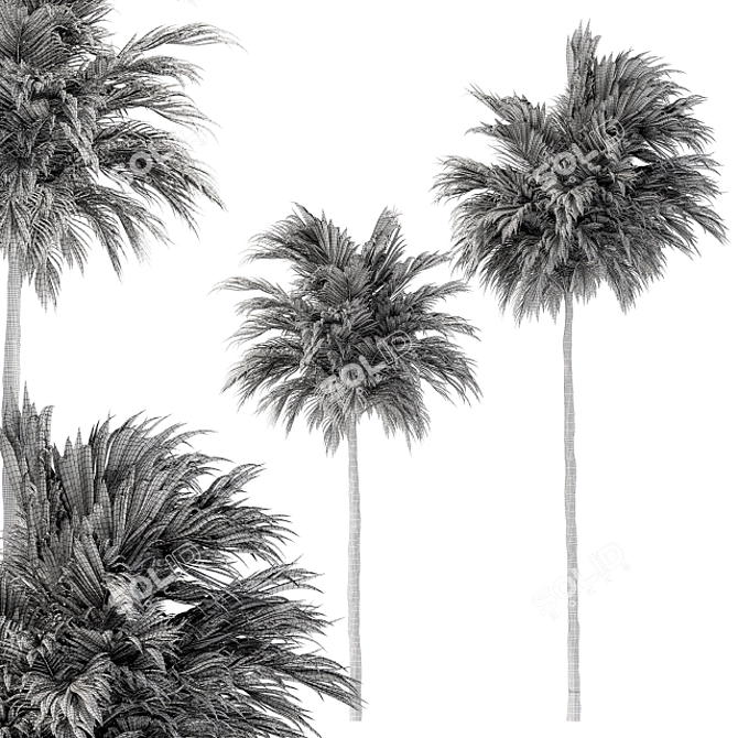 Green Palm Tree Set - Two Sizes 3D model image 5