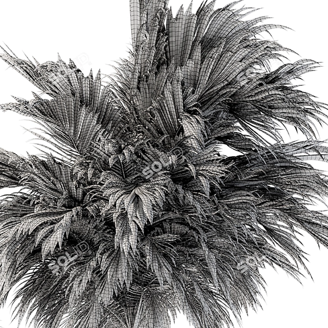 Green Palm Tree Set - Two Sizes 3D model image 6
