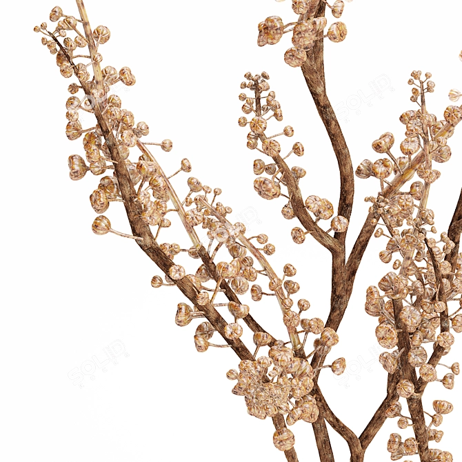 Natural Dried Berry Branch 3D model image 4