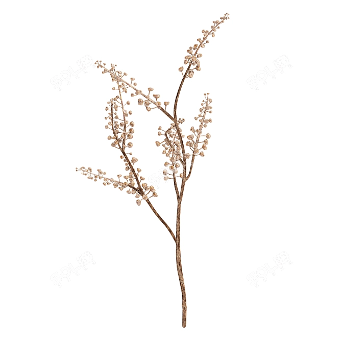Natural Dried Berry Branch 3D model image 5