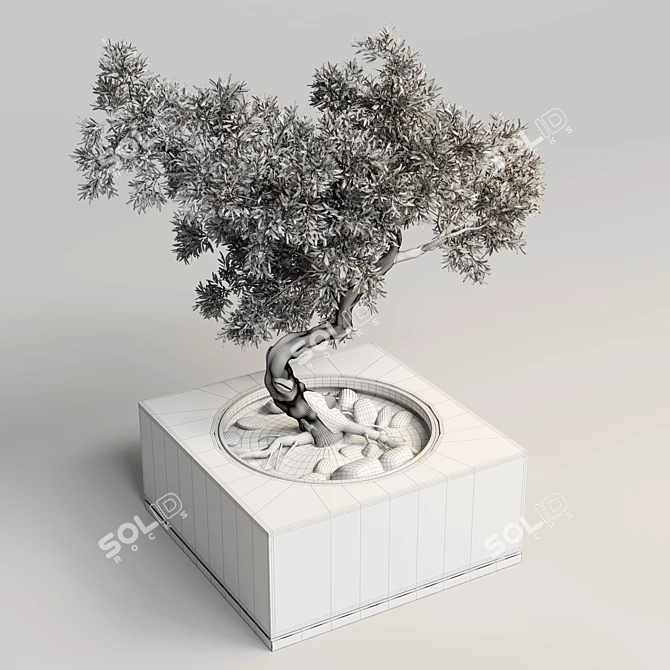 Concrete Bonsai Pot Vase 3D model image 5