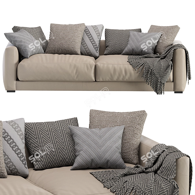 Luxurious Linteloo Mauro Leather Sofa 3D model image 3