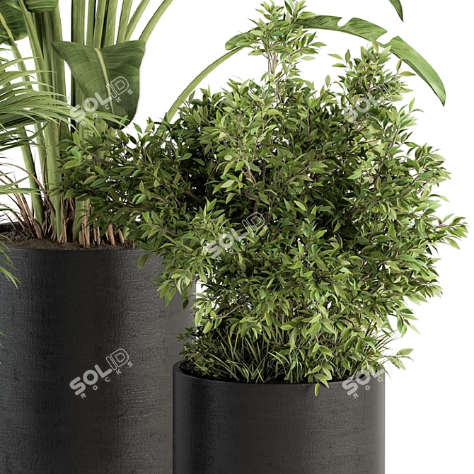 Refreshing Greenery: Indoor Plant Set 3D model image 3