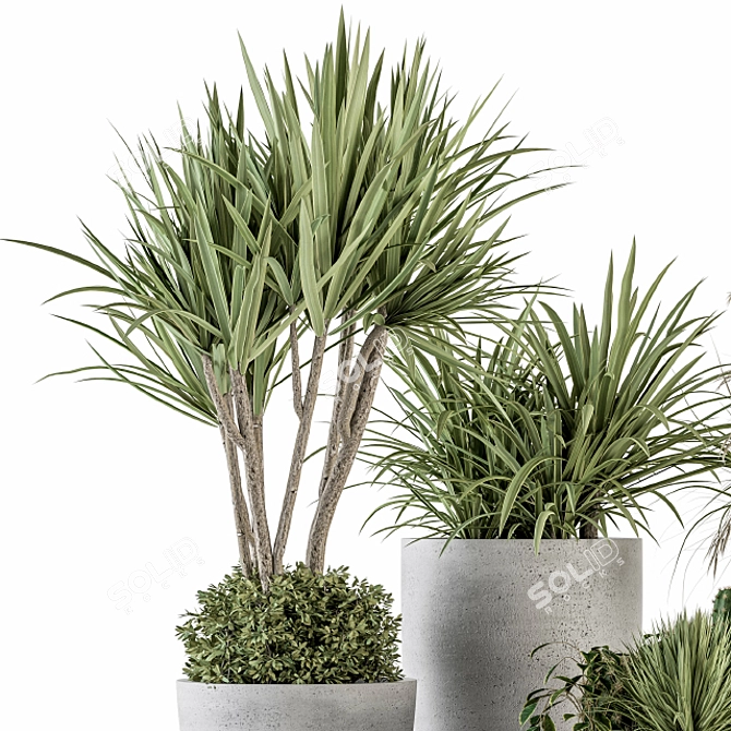 Green Oasis Plant Box Set 3D model image 3