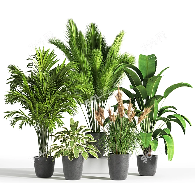 Indoor Oasis: 38 Unique Plant Set 3D model image 1