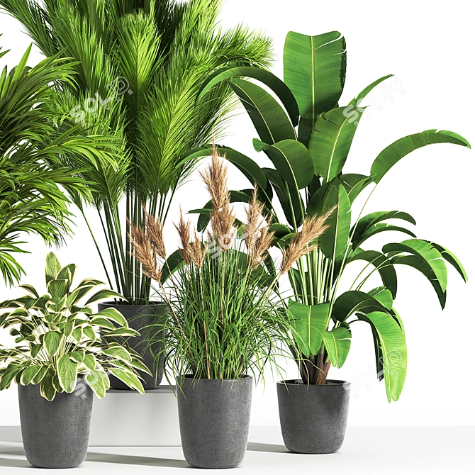 Indoor Oasis: 38 Unique Plant Set 3D model image 2