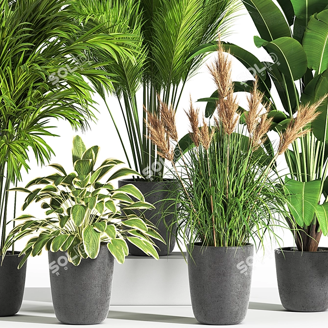 Indoor Oasis: 38 Unique Plant Set 3D model image 3