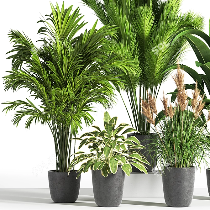 Indoor Oasis: 38 Unique Plant Set 3D model image 4