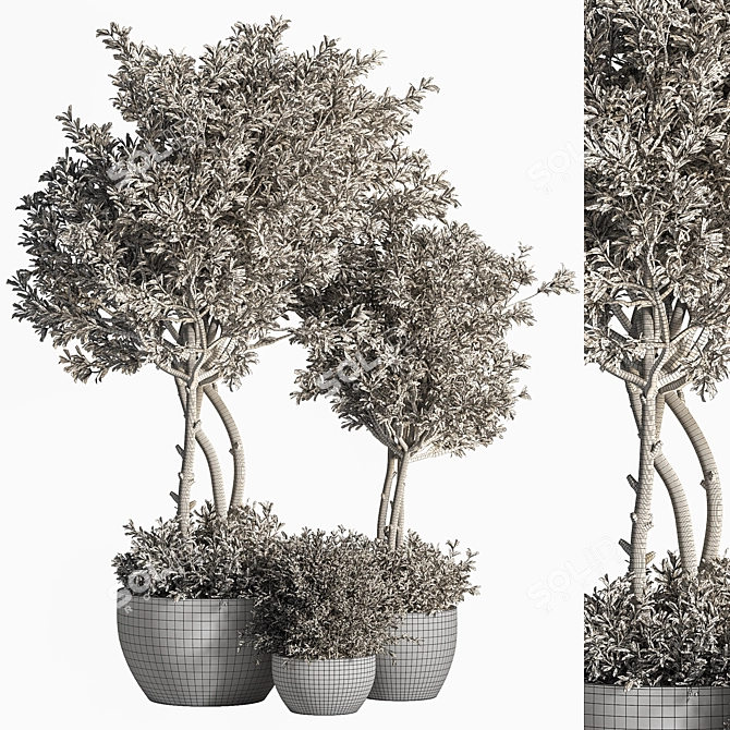 Evergreen Indoor Plant Set 41 3D model image 6