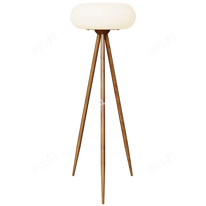 Modern Floor Lamp TOKEN 3D model image 1