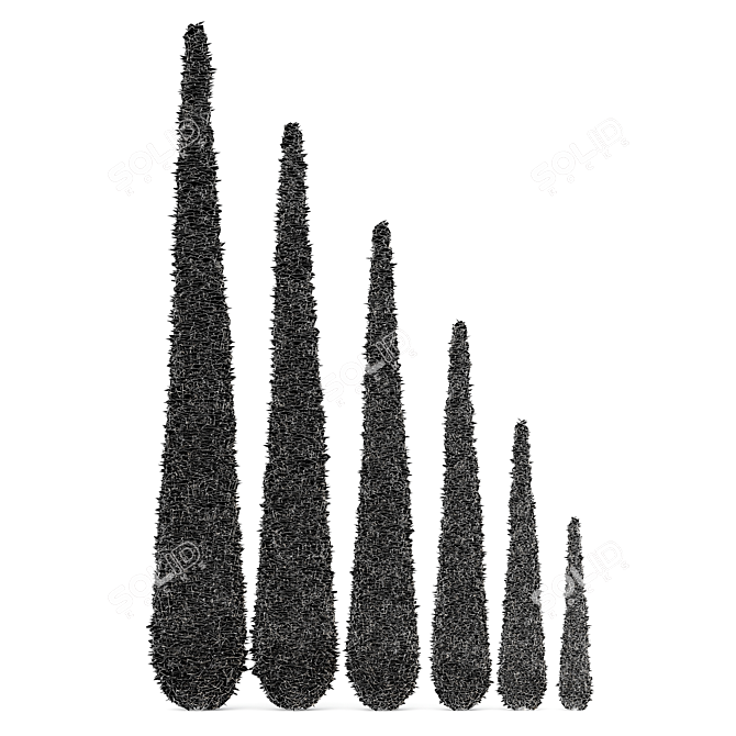 Italian Cypress: Tall, Stunning, Timeless 3D model image 4