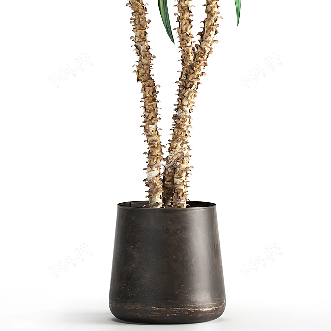 Exotic Plant Collection in Rusty Metal Pot 3D model image 5