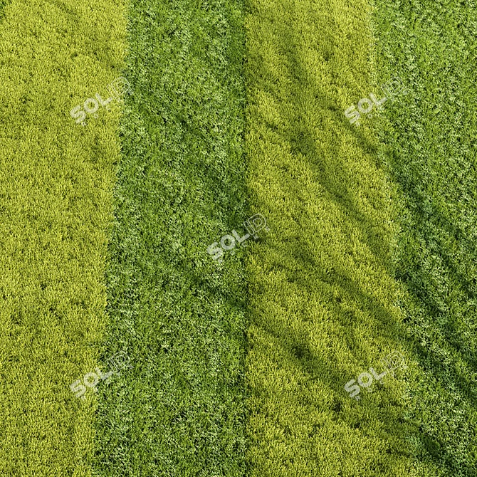 Grass 001-Summer: High Quality 3D Turf Model 3D model image 1