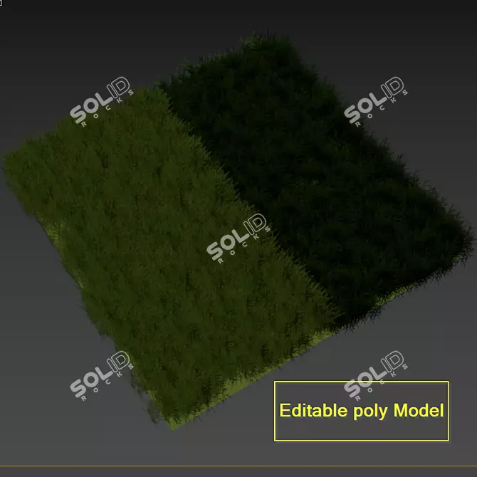 Grass 001-Summer: High Quality 3D Turf Model 3D model image 7