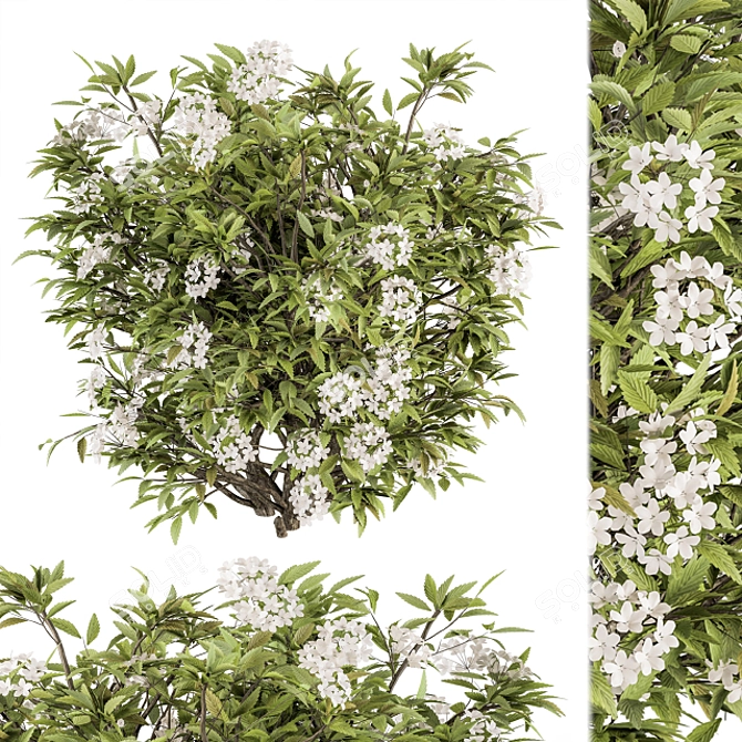 Pure Blooms: 30-Piece White Flower Bush 3D model image 1