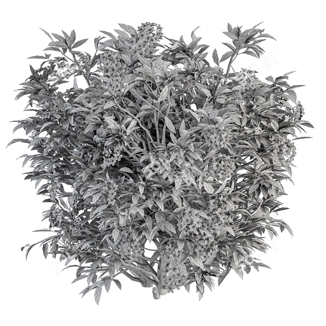 Pure Blooms: 30-Piece White Flower Bush 3D model image 4
