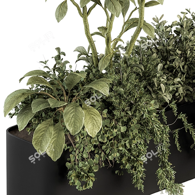 Nature's Oasis: Indoor Plant Set 3D model image 2