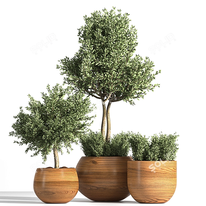Luxury Outdoor Plant Set 3D model image 6