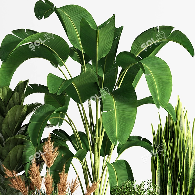 Indoor Set Plant 05 - Stylish Decor for Your Home! 3D model image 4