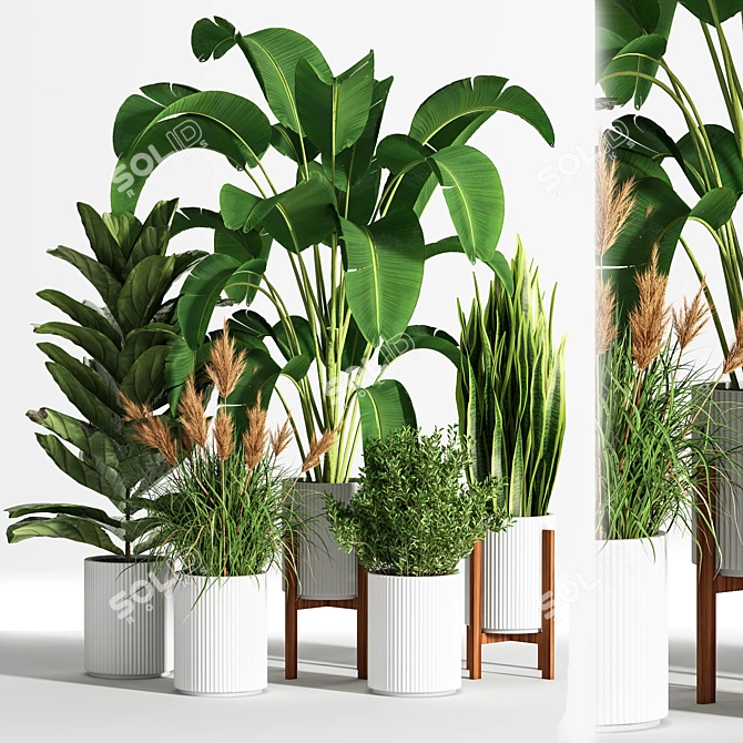 Indoor Set Plant 05 - Stylish Decor for Your Home! 3D model image 6