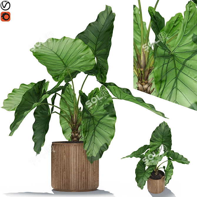 Lush Botanical Assortment 548 3D model image 1