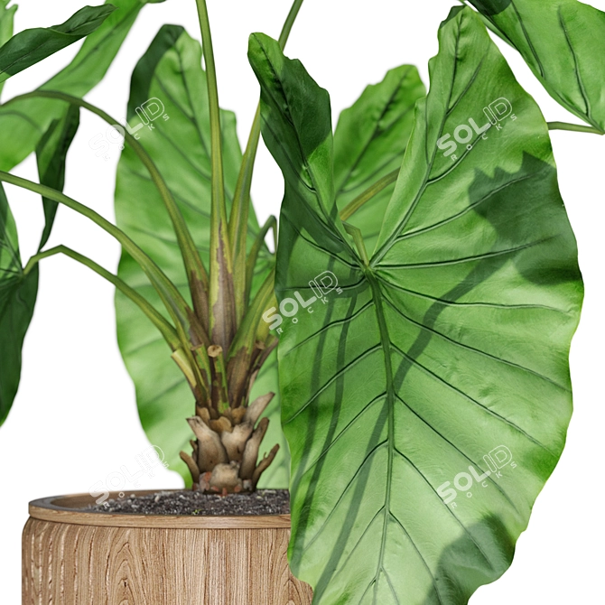 Lush Botanical Assortment 548 3D model image 3