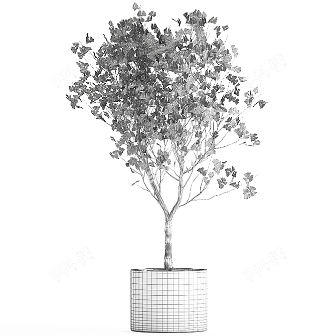 Exotic Tree Collection in Rusty Vase 3D model image 7