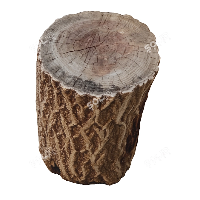 7-Polygon Tree Trunk: Unwrapped 3D model image 4