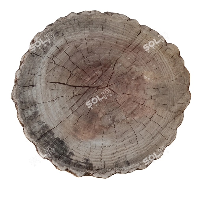 7-Polygon Tree Trunk: Unwrapped 3D model image 5