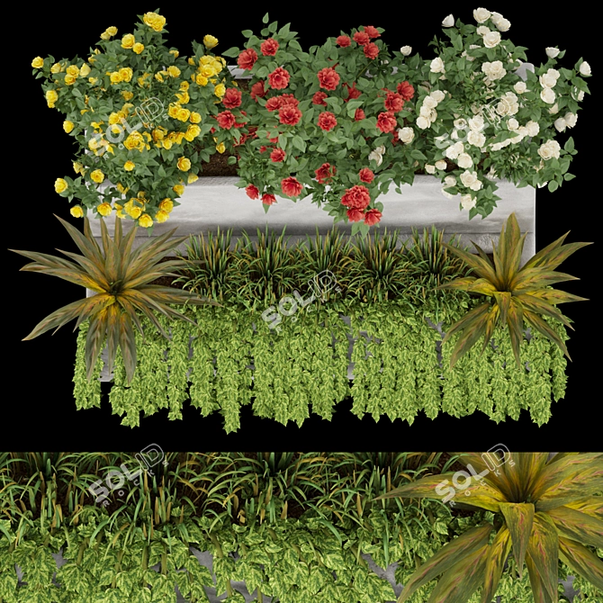 Exquisite Plant Collection Vol. 10 3D model image 2