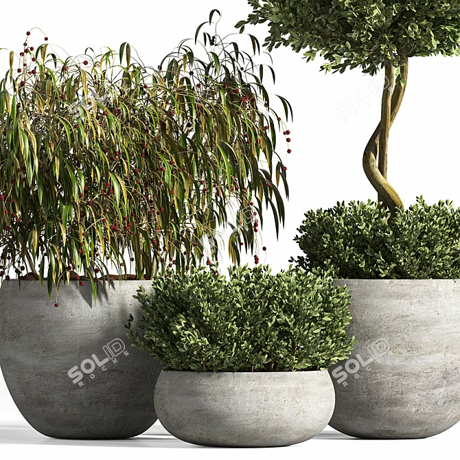 Modern Plant Display Stand 3D model image 3