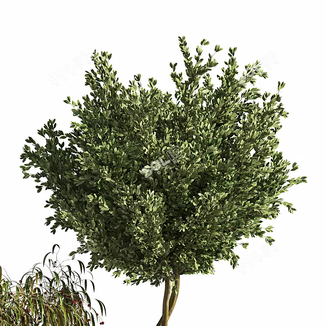 Modern Plant Display Stand 3D model image 4
