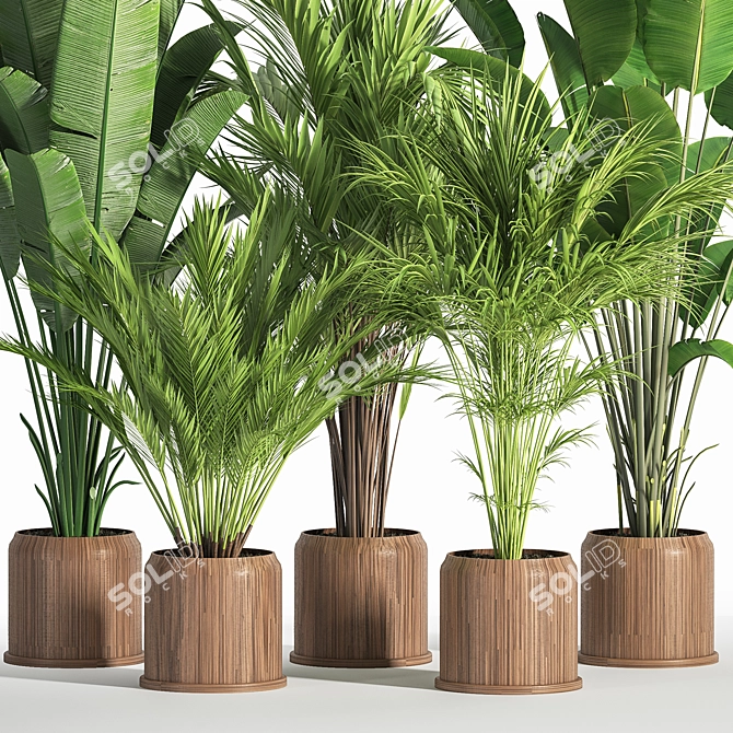 Indoor Oasis: 42-Piece Plant Set 3D model image 2