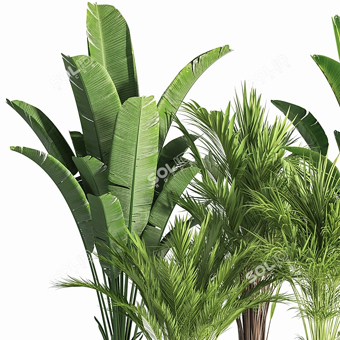 Indoor Oasis: 42-Piece Plant Set 3D model image 3